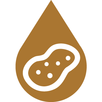 Icono de patata