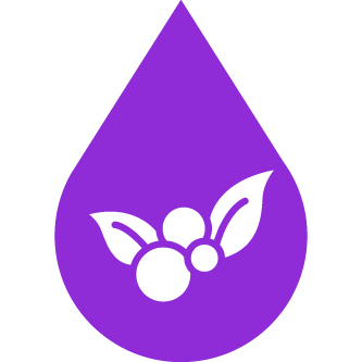 Icono de arándanos