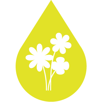 Icono de colza