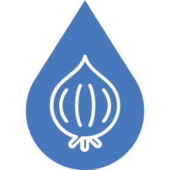 Icono de cebolla